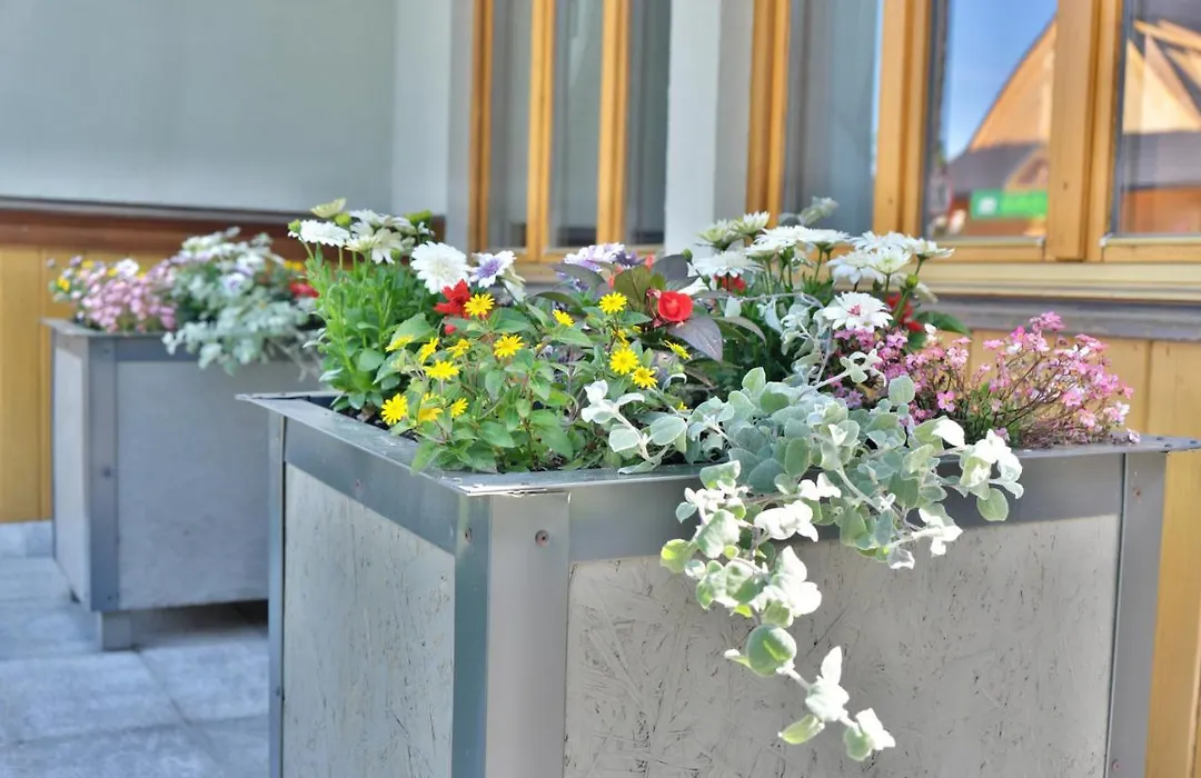 Apartament - Zakopiański-1
